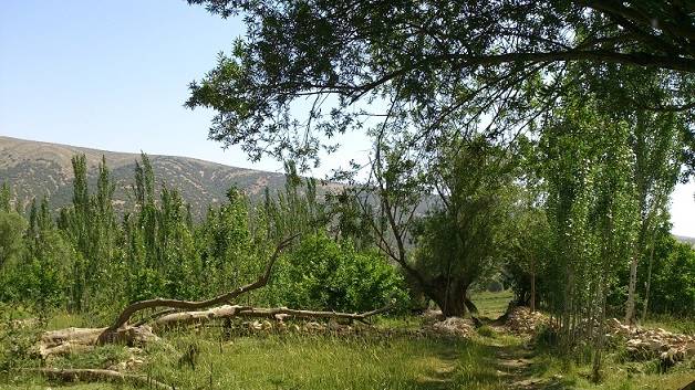 روستای سرخک سنجابی