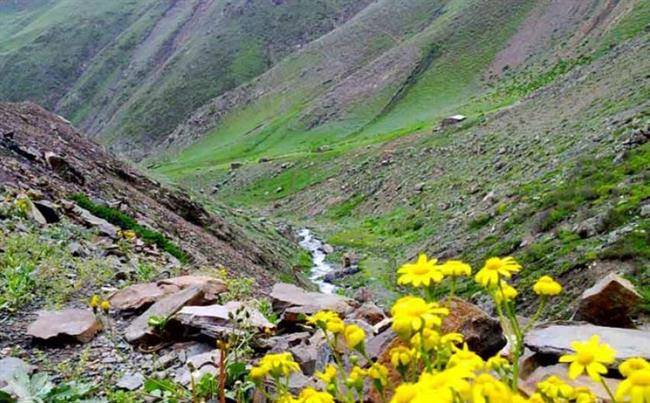 روستای ناتر