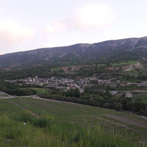 روستای شروینه