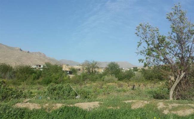 روستای بید سرخ