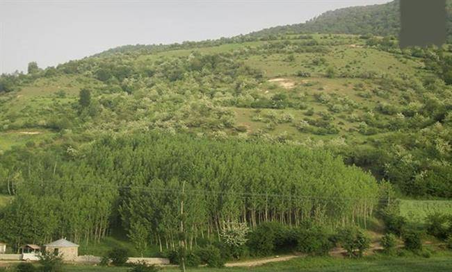 روستای ارم