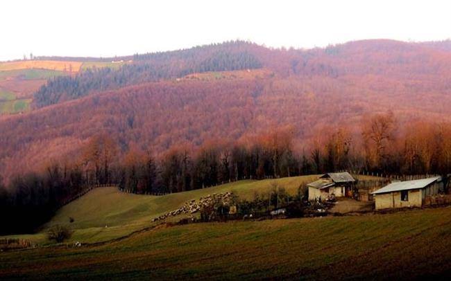 روستای اوسا