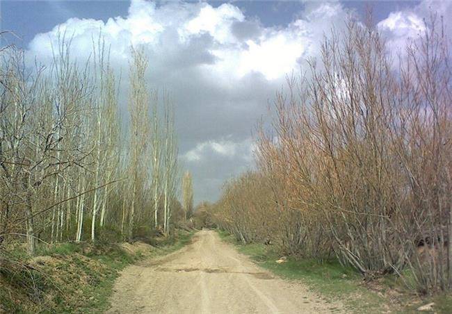 روستای آهو