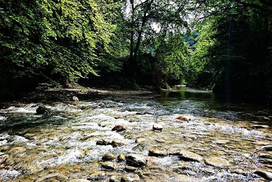 وحشت گردی؛ سفر به مناطق خوفناک ایران