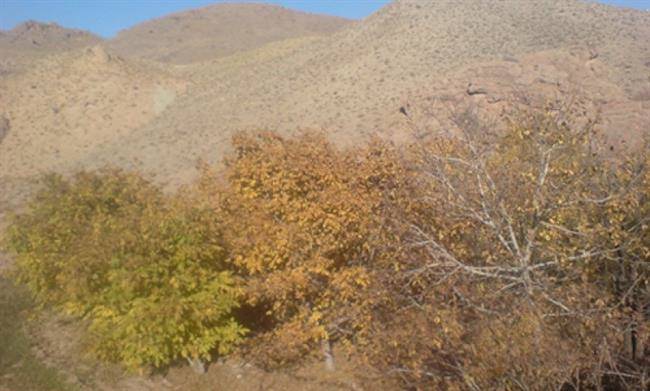 روستای خوشاب