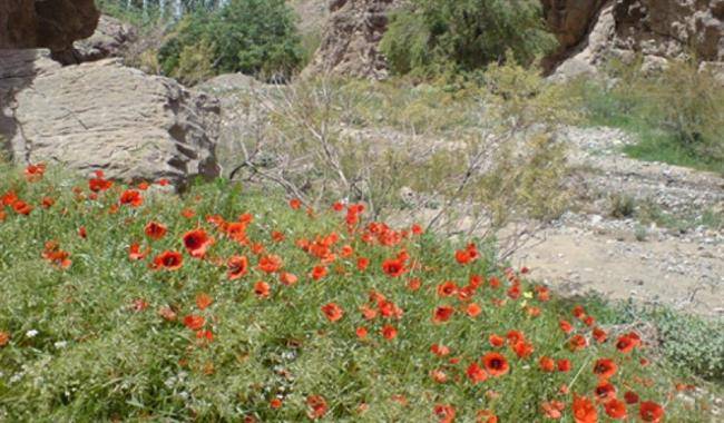 روستای خوشاب