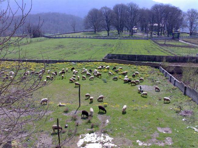 روستای ورند