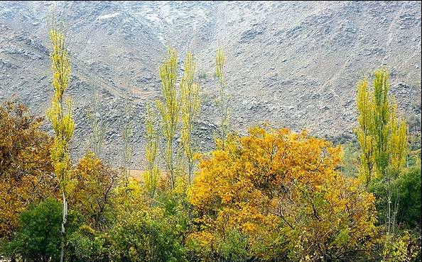 روستای منشاد