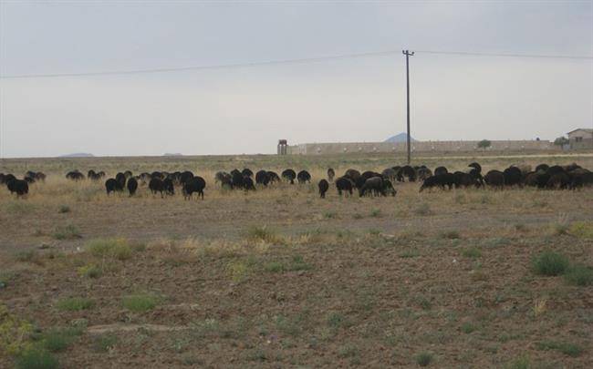 روستای تاج خاتون