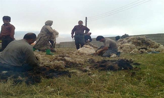 روستای کلکنار