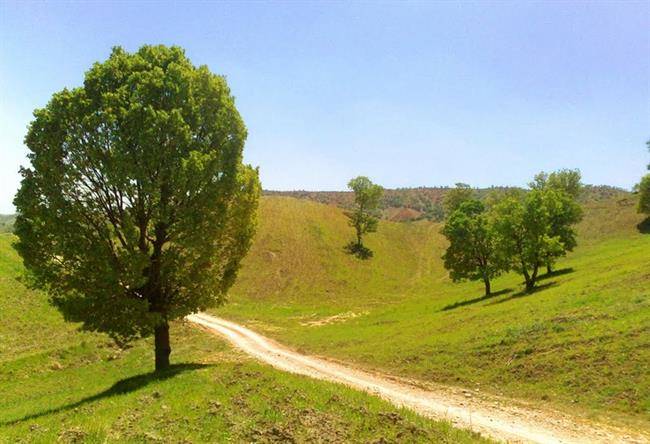 تنگ بوان