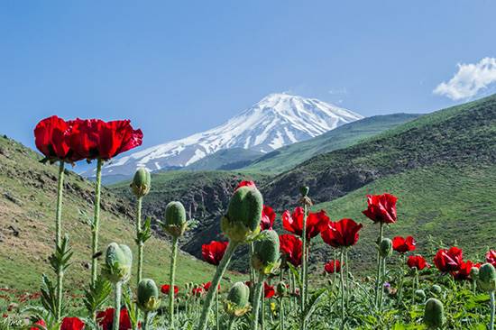 گردشگر ی در فصل هزار رنگ