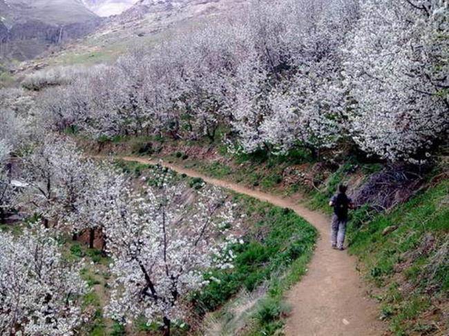 روستای سنگان سفلی