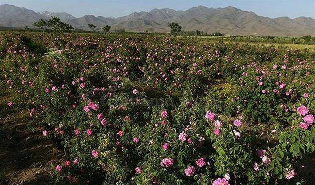 اقامتگاه بوم گردی بابا حسین کوهستان