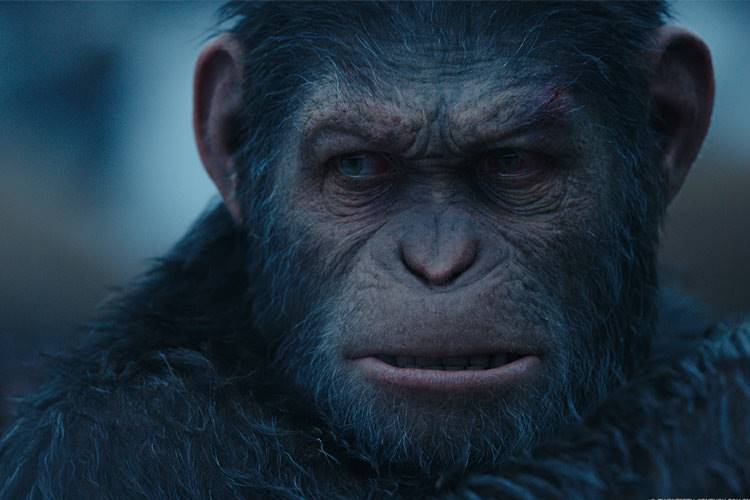 نقد فیلم War for the Planet of the‌ Apes - جنگ برای سیاره میمون ها