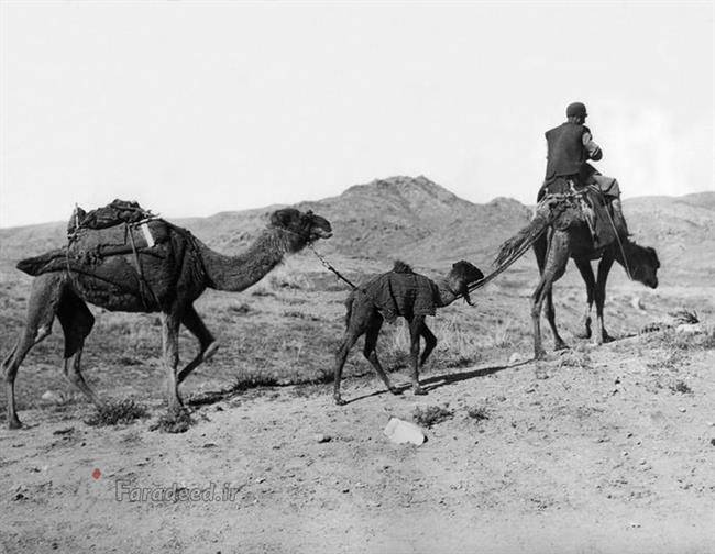 تصاویر/ ایران در آغاز به قدرت رسیدن رضاشاه