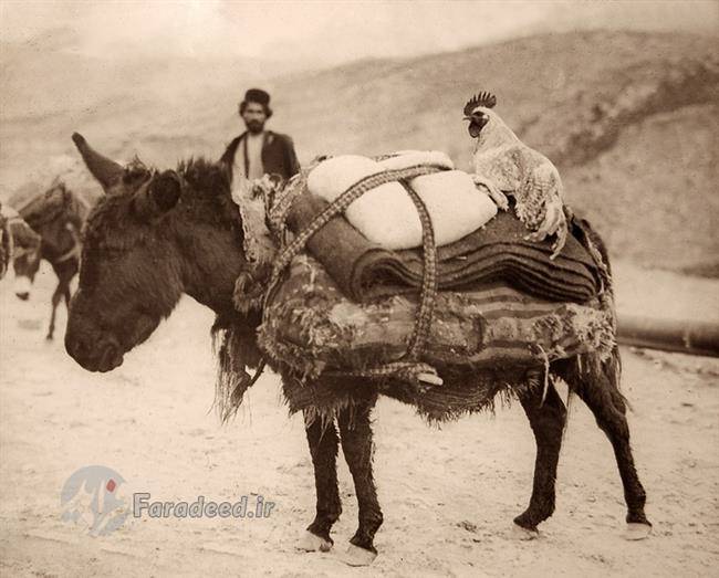 (تصاویر) آلبوم دیده نشده از اولین اکتشافات نفت در ایران