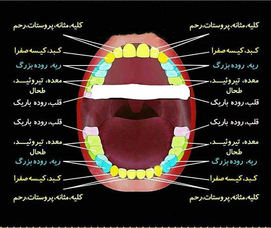 راز پوسیدگی دندان‌ها در چیست؟ +عکس