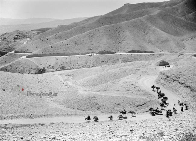 عبور کاروان افغان با شتر و اسب به سوی کابل. سال 1949