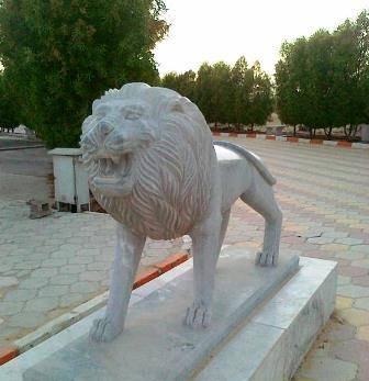 پارک ساحلی قشم پارک ساحلی قشم