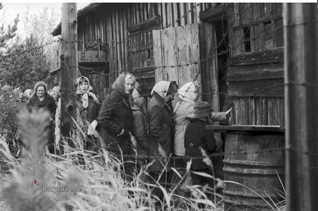 جزیره مرگ: اردوگاه کار اجباری بریتانیا در روسیه