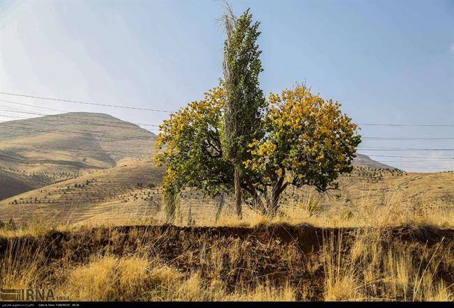 جاذبه های گردشگری پاییزی کردستان