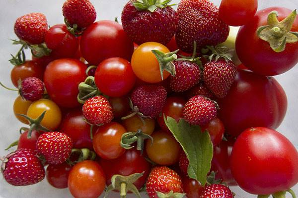 برنامه آژانس فضایی امارات برای پرورش گوجه و توت فرنگی در مریخ