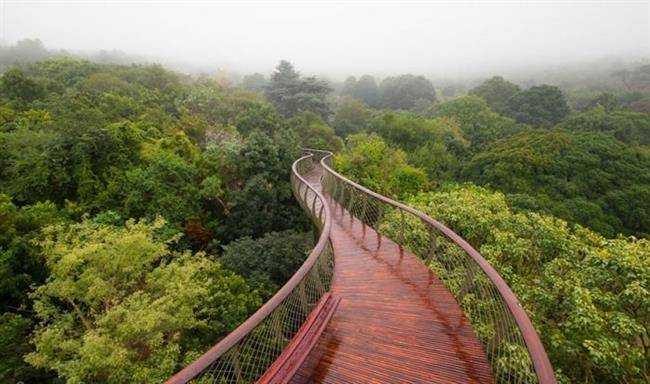 Kirstenbosch