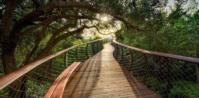 Kirstenbosch