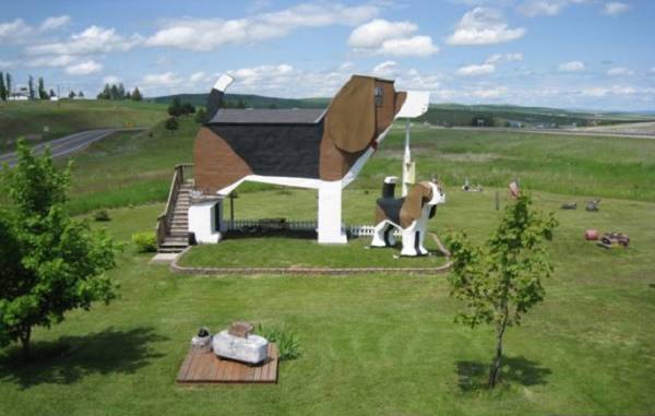 10-Crazy-Hotels-Dog-Bark-Park-Inn-Idaho