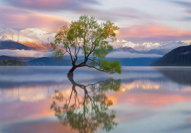دریاچه واناکا نیوزلند