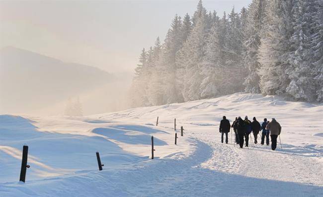 Winter-Walking-c-Panthermedia_Fickert