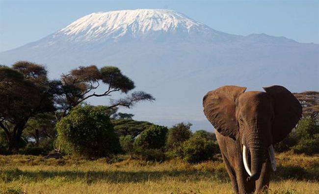 mount-kilimanjaro-tanzania