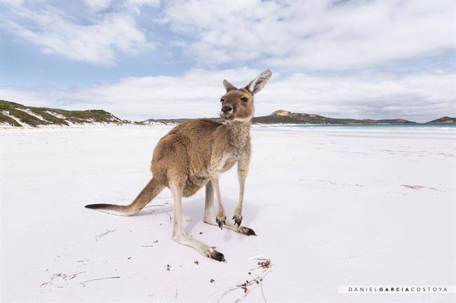 Lucky Bay