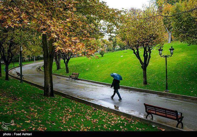 تهران