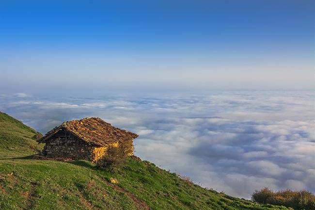 اقامت در جنگل ابر