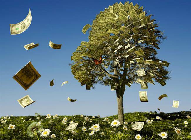درخت پول ، بهترین راه پولدار شدن