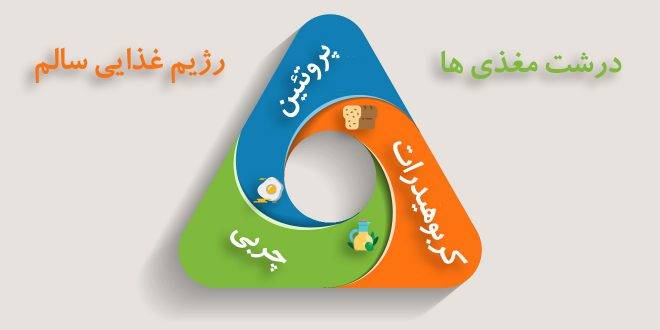 درشت مغذی : تحلیل کربوهیدرات، پروتئین و چربی مفید (بخش سوم)