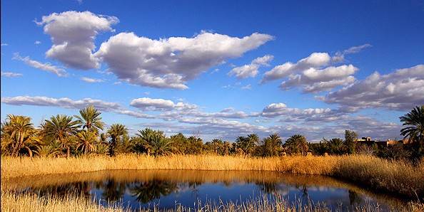 کویر مصر