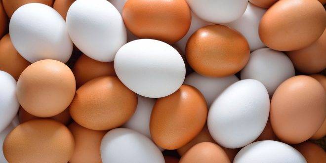 خواص غذایی و دانستنی هایی مفید در خصوص تخم مرغ
