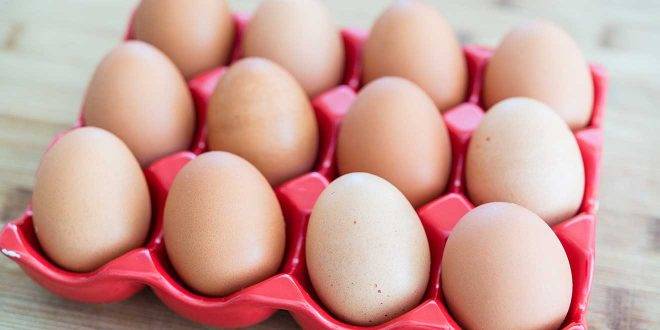 در هفته چند عدد تخم مرغ بخوریم؟ حقایقی دربارۀ کلسترول تخم مرغ