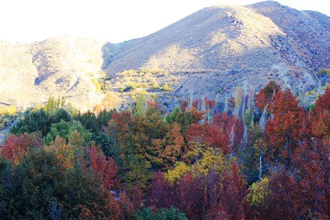 روستای قلات