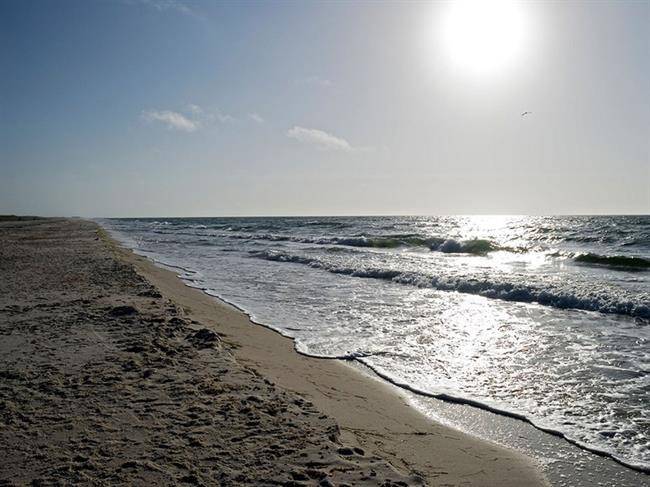 America George Island