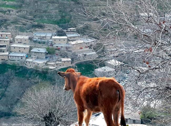 کوهستان گرده