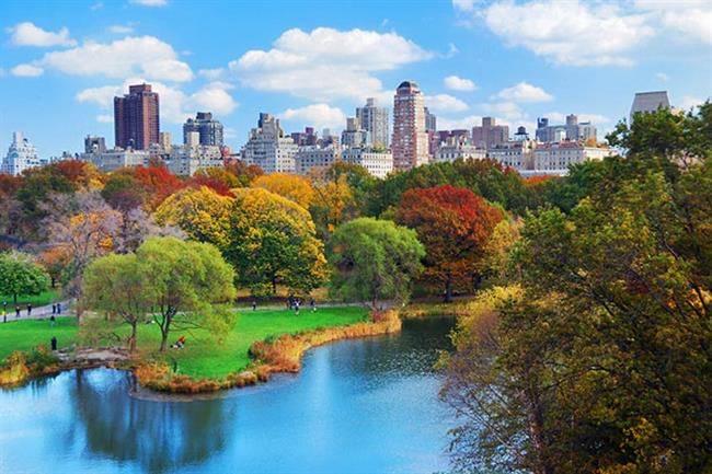 new-york-city-central-park-