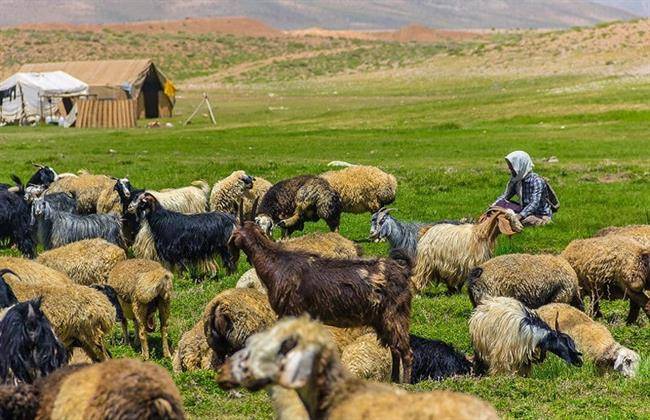 20 جاذبه توریستی کمتر شناخته شده در شهر و روستا های کشور ایران