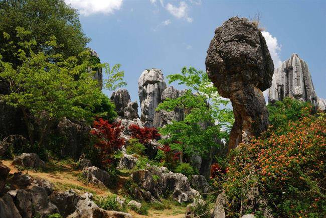 جنگل شیلین ، جنگلی با درختانی از سنگ (Stone Forest)