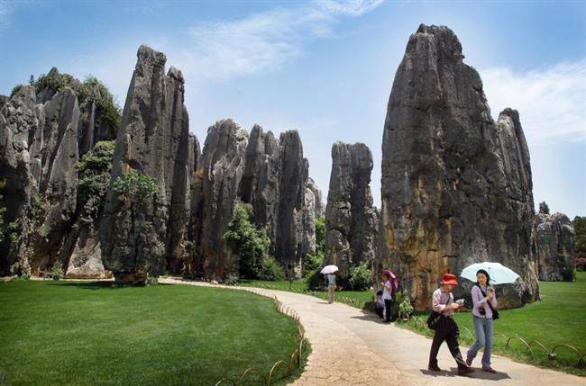 جنگل شیلین ، جنگلی با درختانی از سنگ (Stone Forest)