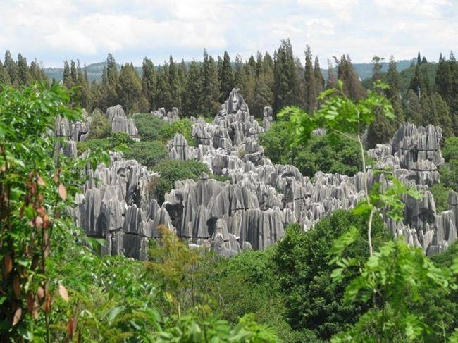 جنگل شیلین ، جنگلی با درختانی از سنگ (Stone Forest)