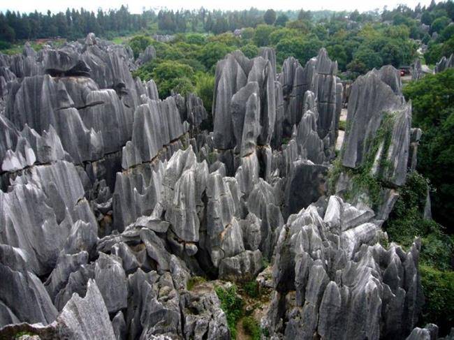 جنگل شیلین ، جنگلی با درختانی از سنگ (Stone Forest)